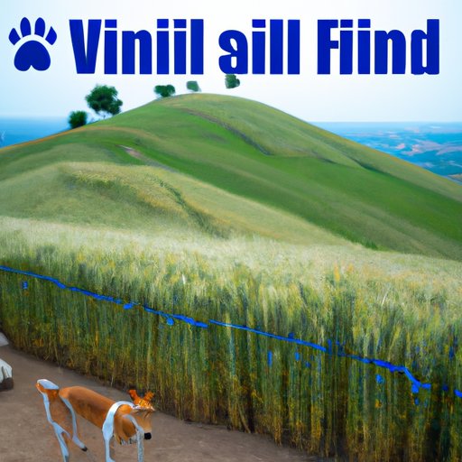 Veterinary Opinion on Hills Science Diet Grain Free