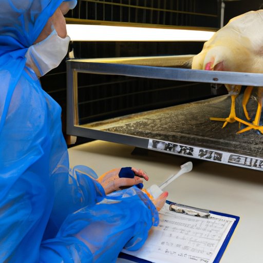 Investigating the Environmental Impact of Tyson Chicken Production