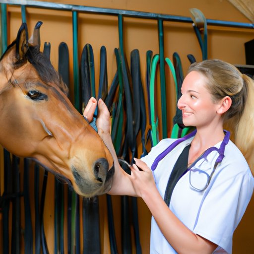 How to Become an Equine Veterinarian