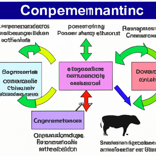 what-does-commensalism-mean-in-science-the-enlightened-mindset