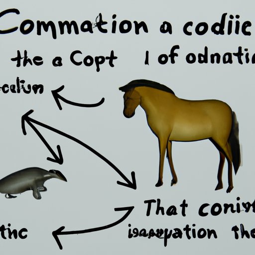 Explaining Commensalism in the Animal Kingdom