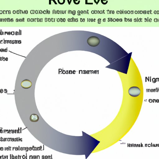 Exploring the Meaning of Revolve in Science