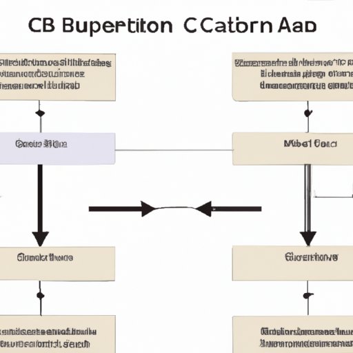 Understanding the Impact of a CBC with Automated Differential