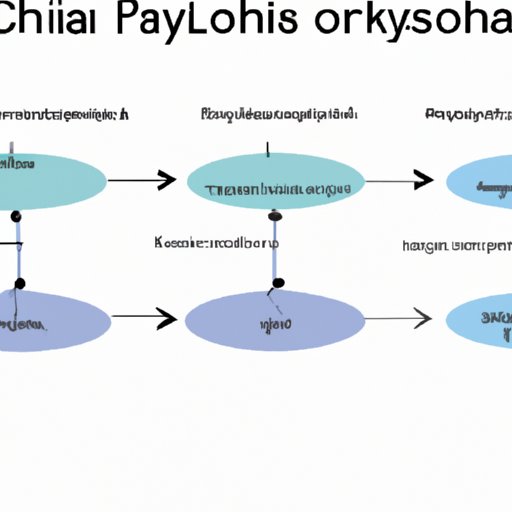 How Phyla are Used to Understand Evolutionary Relationships