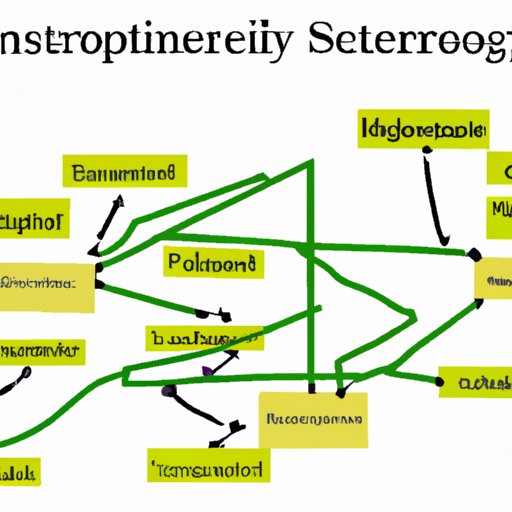 Analyzing the Interconnectivity of Systems in Environmental Science