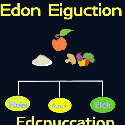 Introduction: Exploring the Basics of Food Nutrition