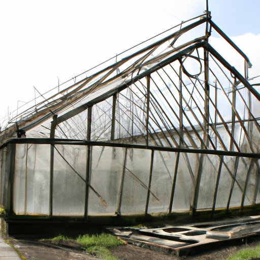 Greenhouses: A Closer Look at Their History and Uses