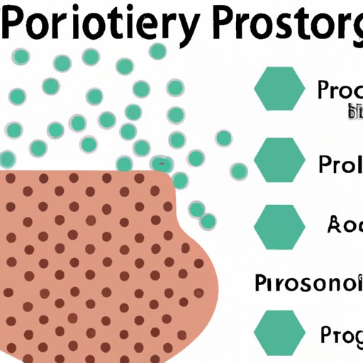 Porosity: Its Role in Science and its Impact on the Environment