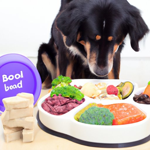 Investigating Raw Food Diets for Dogs