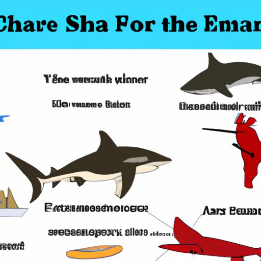 Investigating What Sharks Eat in Different Parts of the World