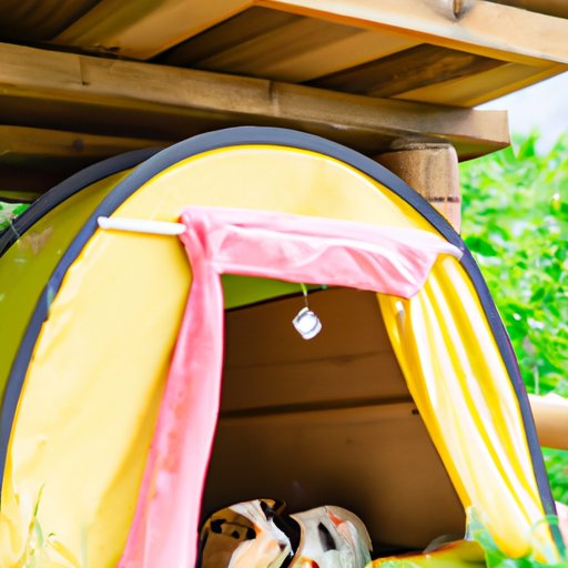 The Best Accommodations for Guinea Pigs on Vacation