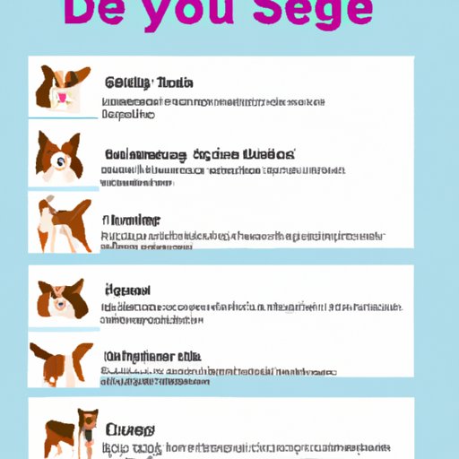 A Guide to Identifying Your Dog Self