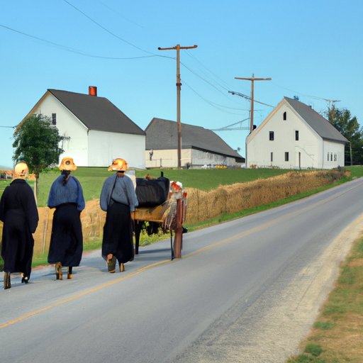 A History of the Amish: Tracing the Origins of an Enduring Culture