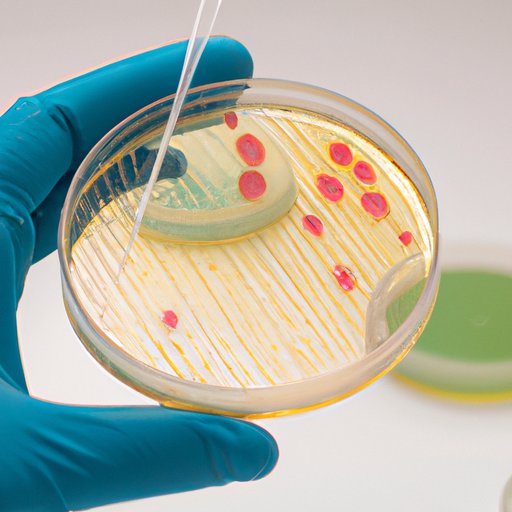 Examining the Benefits of the Culture Plate Method to Identify Pathogens