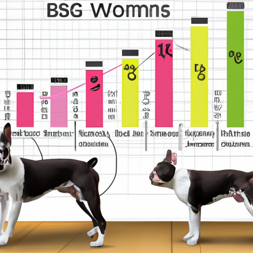 how much does boston terrier maintenance cost