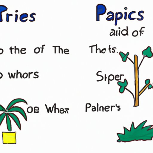 creative writing on plants