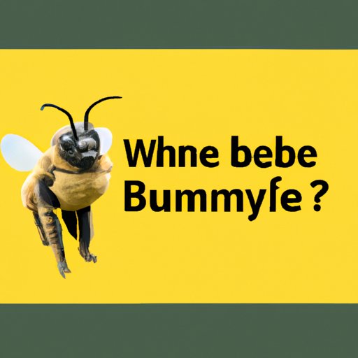 how-to-start-a-bumble-conversation-tips-and-strategies-the