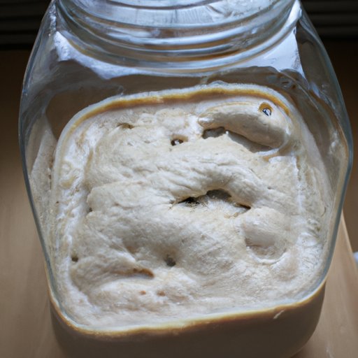 how-to-tell-when-your-sourdough-starter-is-ready-to-use-fleischmann-s