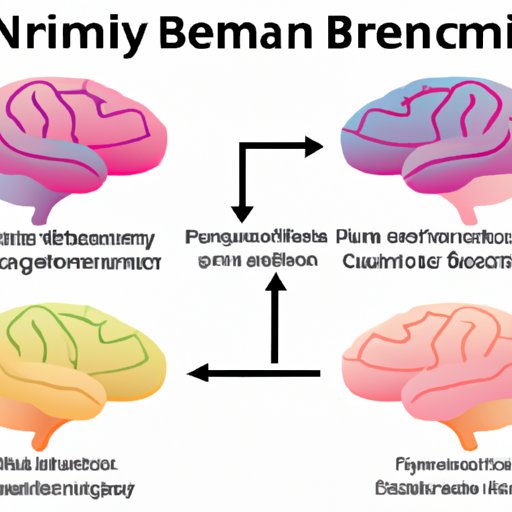 exploring-what-part-of-the-brain-controls-decision-making-the